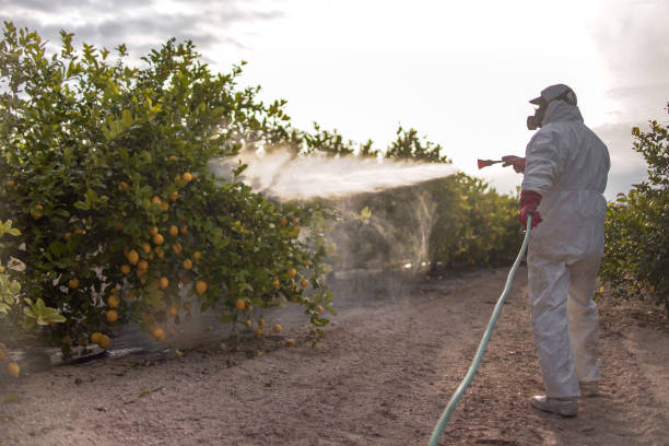 Best Flea Control Services  in Charleston, IL