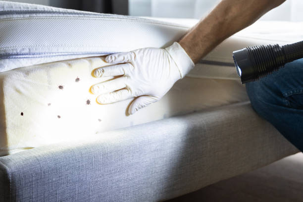 Best Cockroach Control Services  in Charleston, IL
