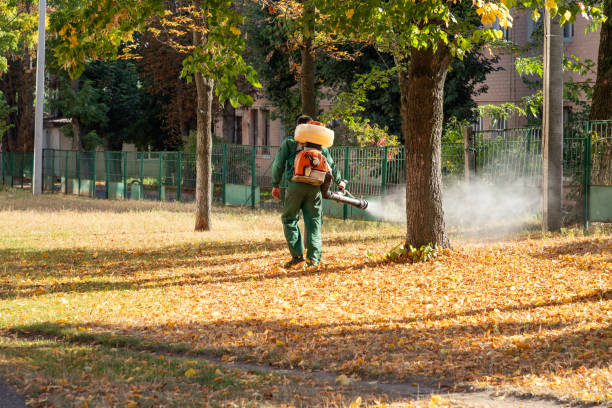 Best Best Pest Control Companies  in Charleston, IL