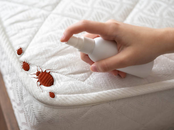 Best Exterminator Services  in Charleston, IL