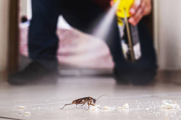 Best Local Pest Control Services  in Charleston, IL